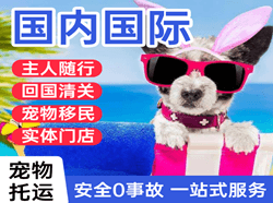 安阳红旗渠航空快运国际宠物托运 【国